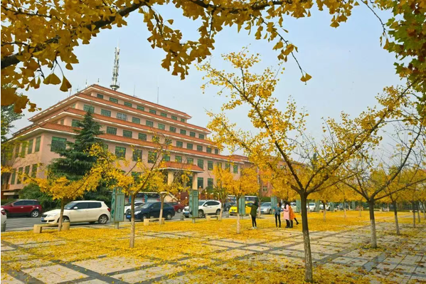 喜报！西京学院荣膺“陕西省2025年高等教育教学成果奖”特等奖！